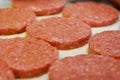 Hamburger patties Royalty Free Stock Photo