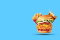 Hamburger, potato fries, cola drink. Takeaway food. Fast food. Royalty Free Stock Photo