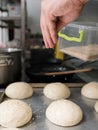 Hamburger rolls cook seasoning sesame baking