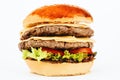 Hamburger sandwich with beef and cheese Royalty Free Stock Photo