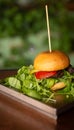 Hamburger Slider with Salad