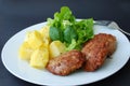 Hamburger with vegetable,salad