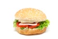 Hamburger, white background