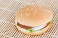 hamburger on white dish Royalty Free Stock Photo