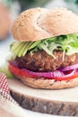 Lentils and rice vegan burger Royalty Free Stock Photo