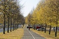 Hameenlinna, Finland 10/15/2018 A city walk way bordered with yellow and partly bare linden trees. A lot of leaves have fallen to Royalty Free Stock Photo