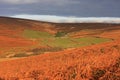 Hameldown, Dartmoor