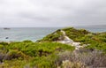 Hamelin Bay: Green Coastal Dunes Royalty Free Stock Photo