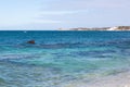 Hamelin Bay Reef Royalty Free Stock Photo