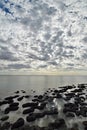 Modern stromatolites in Hamelin Pool Marine Nature Reserve. Gascoyne region. Western Australia Royalty Free Stock Photo