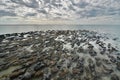 Stromatolites in Hamelin Pool Marine Nature Reserve. Gascoyne region. Western Australia Royalty Free Stock Photo