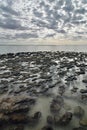 Stromatolites. Hamelin Pool Marine Nature Reserve. Gascoyne region. Western Australia Royalty Free Stock Photo