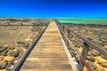 Hamelin Pool Path Royalty Free Stock Photo