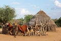 Hamer, Ethiopia, Africa