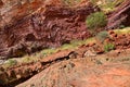 Hamersley Gorge Karijini National Park Pilbara region in Western Australia Royalty Free Stock Photo