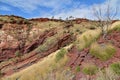 Hamersley Gorge Karijini National Park Pilbara region in Western Australia Royalty Free Stock Photo