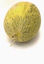 Hami melon Royalty Free Stock Photo