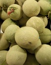 Hami melon Royalty Free Stock Photo