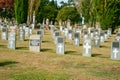 Hamilton New Zealand - April 25 2010; Headstones of fallen soldiers in graveyard