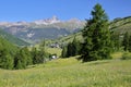 The hamlet Molines en Queyras, located in Saint Veran valley with flowers in the foreground and Rochebrune mountain peak