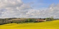 Hamlet in rapeseed field