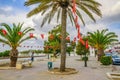 HAMMAMET, TUNISIA - Oct 2014: Street with date palms, trees and white buildings on October 6, 2014