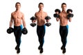 Hammer Curl Exercise Royalty Free Stock Photo