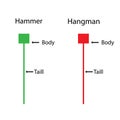 Hammer with Hangman Price action of candlestick chart