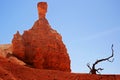 Hammer Head Hoodoo and Small dead tree