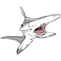 Hammer Head Shark illustration Royalty Free Stock Photo