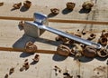 Hammer and some walnuts after cracking open.