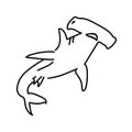 Hammerhead shark color line illustration. Marine mammals.