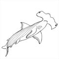 Hammerhead shark. Coloring book. Hand drawing coloring book for children and adults. Beautiful drawings with patterns and small