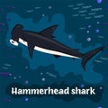 Hammerhead shark. Endangered fish species. Vector illustration