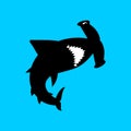 Hammerhead shark icon. Fish hammer sign. marine predator vector illustration