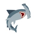 Hammerhead shark isolated. Fish hammer. marine predator vector illustration