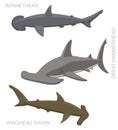 Hammerhead Shark Set Cartoon Vector Illustration