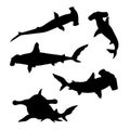 Hammerhead shark set vector Royalty Free Stock Photo