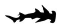 Hammerhead shark  silhouette illustration isolated on white background. Royalty Free Stock Photo