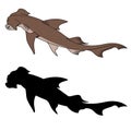 Hammerhead Shark. Vector clipart. Color version and black silhouette Royalty Free Stock Photo