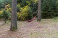A hammock  is attached between two trees in a mixed coniferous-deciduous forest in the mountainous part of Georgia Royalty Free Stock Photo