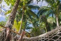 In the hammock at the beach, point of view