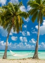Hammock in a beach in Tikehau Royalty Free Stock Photo