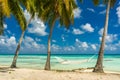 Hammock in a beach in Tikehau Royalty Free Stock Photo