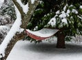 Hammock filled with snow Royalty Free Stock Photo