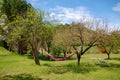 Hammock in the garden of family hotel in Provence Royalty Free Stock Photo