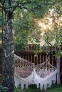 hammock garden sunset birch sun rays Royalty Free Stock Photo