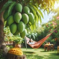 Hammock with green mangoes in the garden, vintage style Royalty Free Stock Photo