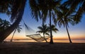 Hammock hanging from coconut palms at sunrise beach