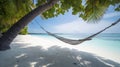 Hammock hanging from a palm tree on a beach, Maldives